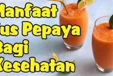 Manfaat Jus Pepaya untuk Kesehatan Tubuh yang Dapat Mengatasi Sembelit