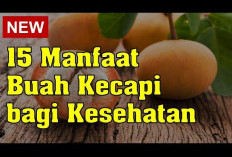 Manfaat Buah Kecapi untuk Kesehatan yang Hanya Diketahui Sedikit Orang