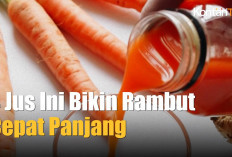 Berikut Adalah 5 Jus yang Efektif untuk Mengatasi Kerontokan Rambut