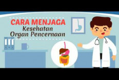 Hal yang Bisa Dilakukan untuk Menjaga Kesehatan Sistem Pencernaan