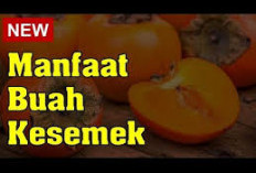 Manfaat Kesemek untuk Kesehatan yang Perlu Kamu Ketahui