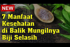 Manfaat Selasih untuk Kesehatan yang Penting untuk Diketahui