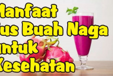 Ini Dia Manfaat Jus Buah Naga untuk Kesehatan