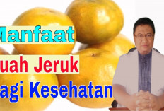 Ini Dia Manfaat Jeruk untuk Kesehatan, Baik untuk Kesehatan Jantung dan Kesehatan Kulit