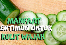 Inilah Manfaat Timun untuk Wajah, Dapat Membantu Mencegah Penuaan Dini