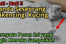 Jika Kamu Dikencingi Kucing, Artinya Ada pesan Ini yang ingin Mereka Sampaikan Kepadamu, Pesan Apa?