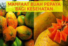 Berikut Manfaat dari Satu Buah Pepaya Untuk Kesehatan yang Harus Kamu Tahu, Penasaran?