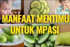 Inilah Berbagai Manfaat Mentimun untuk MPASI Bayi