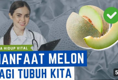 Ini Dia Buah Melon yang Menyegarkan dan Mengandung Nutrisi yang Baik untuk Kesehatan Tubuh