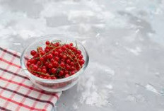 Inilah Sejumlah Manfaat Lingonberry untuk Kesehatan Tubuh