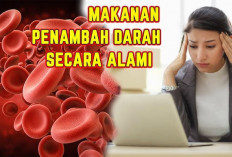 Inilah Obat Penambah Darah Alami untuk Membantu Mengurangi Jumlah Darah Dalam Tubuh