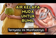 Manfaat Kelapa Muda untuk Ibu Hamil