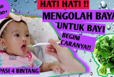 Inilah Manfaat Bayam untuk Bayi yang Sangat Bermanfaat Bagi Mereka