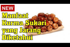 Ini Dia Manfaat Kurma Sukari untuk Kesehatan yang Hanya Sedikit Orang yang Tahu 