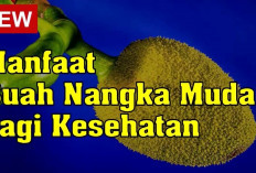 Inilah Manfaat Nangka untuk Kesehatan yang Perlu Kamu Ketahui