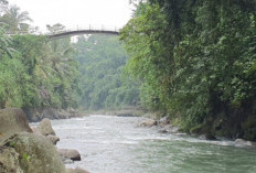 Lolong Adventure dan Cerita Rakyat Jembatan Melengkung di Lolong