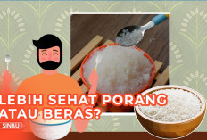 Manfaat Beras Porang untuk Kesehatan, Tinggi Serat dan Rendah Kalori