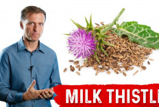 Manfaat Milk Thistle untuk Kesehatan dan Efek Sampingnya