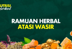 Jenis Obat Herbal untuk Wasir yang Perlu Kamu Ketahui