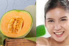 Inilah 4 Manfaat Melon untuk Kulit, Tentunya Bikin Wajah Glowing Permanen dalam Waktu Singkat
