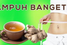 Ini Dia Obat Diet Herbal untuk Menurunkan Berat Badan yang Ampuh