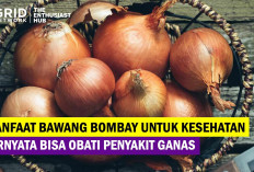 7 Manfaat Bawang Bombay untuk Kesehatan Tubuh, Ternyata Dapat Kontrol Kadar Gula Darah