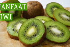 Daftar Manfaat Buah Kiwi untuk Kesehatan yang Ternyata Dapat Mendukung Kesehatan Sistem Pencernaan