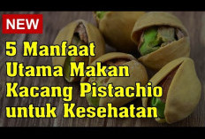 Rasakan Berbagai Manfaat Kacang Pistachio untuk Kesehatan yang Perlu Kamu Ketahui