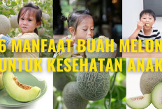 Inilah Manfaat Melon untuk Kesehatan Anak, Dapat Memperkuat Daya Tahan Tubuh Anak