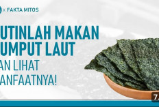 Manfaat Makan Rumput Laut untuk Lansia yang Ternyata Bisa Mencegah Kanker