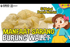 Ternyata Banyak Manfaat Sarang Burung Walet untuk Kesehatan, Apa Saja?