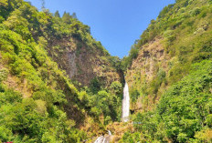 Sejarah dan Cerita Rakyat Curug Bajing Petungkriyono, Mengapa Dinamai Curug Bajing?