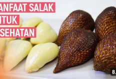 7 Manfaat Salak Pondok Buat Kesehatan Tubuh, Yuk Simak Apa Saja Sih?   