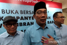 Ridwan Kamil akan Putuskan Terkait Pilkada pada Juni