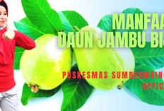 Berikut Adalah Khasiat Terbaik dari Satu Lembar Daun Jambu yang Harus Kamu Tahu!