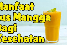 Ini Dia Beragai Macam Manfaat Jus Mangga untuk Kesehatan