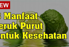 Inilah Manfaat Jeruk Purut untuk Kesehatan yang Perlu Kamu Ketahui