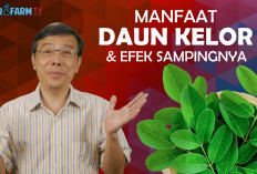 Inilah Manfaat dari Sari Daun Kelor Untuk Kesehatan yang Jarang Diketahui, Salah Satunya Bisa Cegah Kanker!