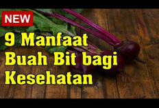 Manfaat Buah Bit untuk Kesehatan, Buah Merah yang Kaya Akan Zat Bermanfaat