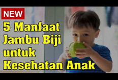 Manfaat Jambu Biji untuk Kesehatan Anak, Dapat Memperkuat Sistem Kekebalan Tubuh