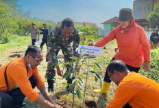 Lahan Tidur di Setono Mulai Dimanfaatkan Jadi Lahan Produktif