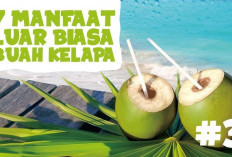 Manfaat Buah Kelapa untuk Kesehatan yang Hanya Sedikit Orang Ketahui