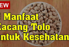 Jangan Lewatkan Manfaat Kacang Tolo untuk Kesehatan, Dapat Menjaga Kesehatan Selama Kehamilan