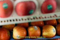 Jangan Mau Kalah, Inilah 5 Tips Buka Bisnis Toko Buah Online yang Bisa Dilakukan Ibu Rumah Tangga