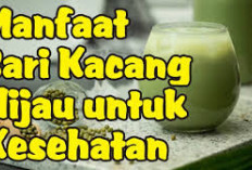 Inilah Manfaat Sari Kacang Hijau dan Tips Memasaknya di Rumah