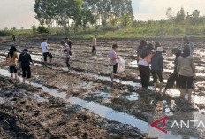 Kementan Gandeng Mahasiswa Kembangkan Pertanian Lahan Rawa