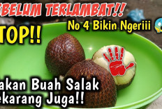 Inilah Beberapa Golongan Orang yang Perlu Mewaspadai Buah Salak Saat Ingin Mengonsumsinya, Siapa Saja?