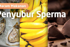 Inilah Makanan Penambah Sperma yang Meningkatkan Kesuburan