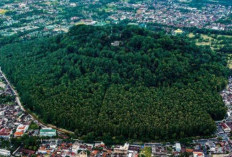 Antara Legenda dan Sejarah: Terbentuknya Gunung Tidar serta Kisah Syekh Subakir Menumbali Tanah Jawa