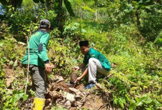 Kolaborasi Jaga Kelestarian Lingkungan, Pemuda Ansor Gandeng Masyarakat hingga Pemdes Tanam Pohon Bersama